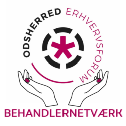 BehandlerNetværksmøde
